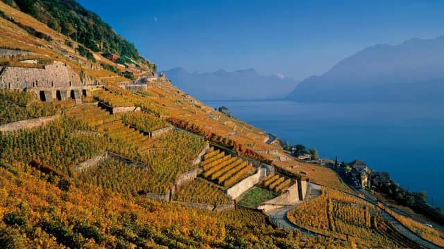 Lake Geneva Region: a food and wine haven